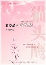 老婆是只猫头鹰