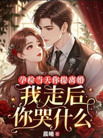 孕检当天你提离婚，我走后你哭什么